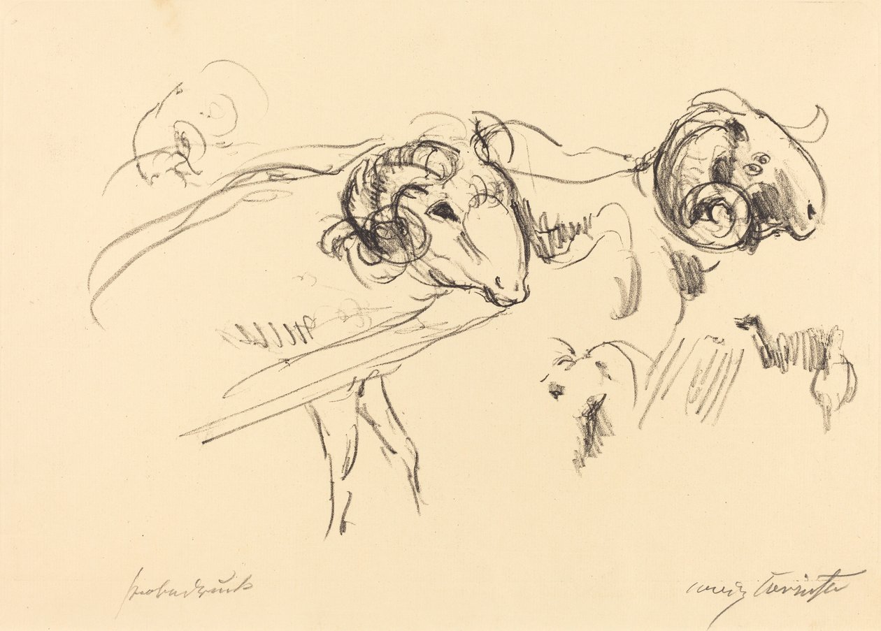 Rammen (Schafböcke) door Lovis Corinth