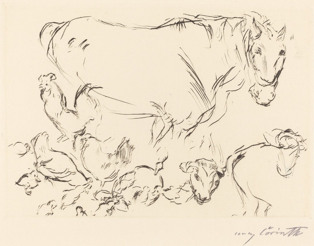 Verschillende dierstudies door Lovis Corinth