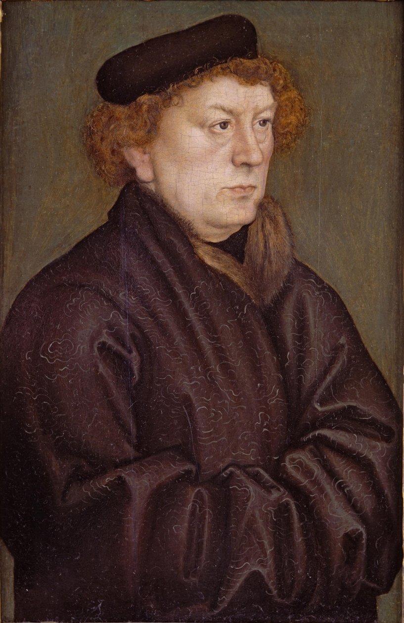 Portret van een geleerde door Lucas Cranach the Elder