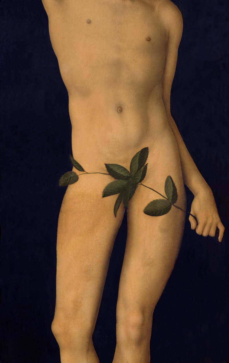 Adam (detail) door Lucas Cranach the Elder