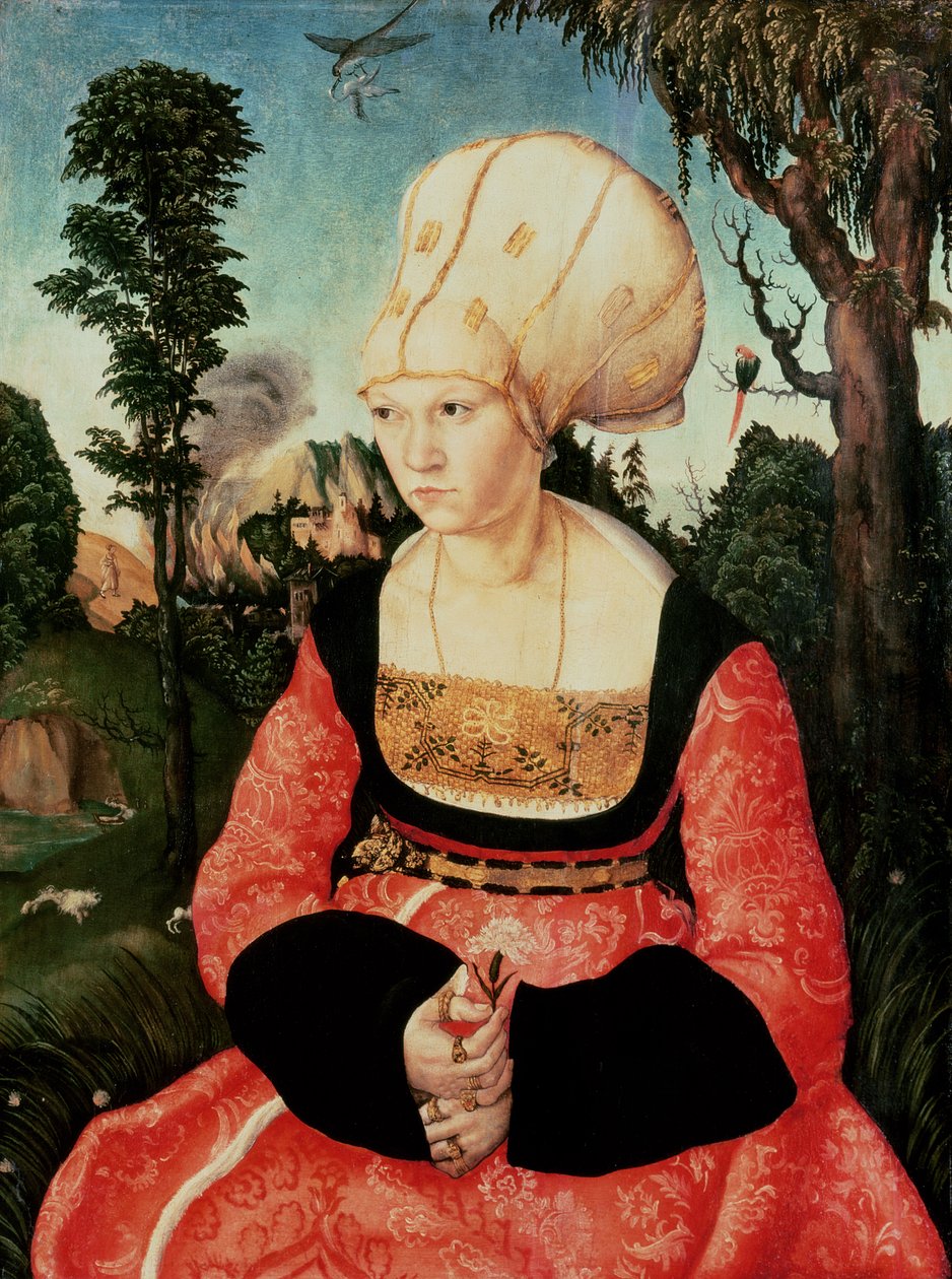 Anna Cuspinian door Lucas Cranach the Elder
