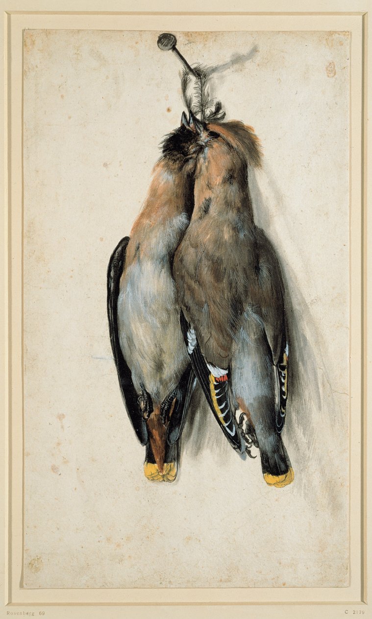 Twee dode pestvogels door Lucas Cranach the Elder