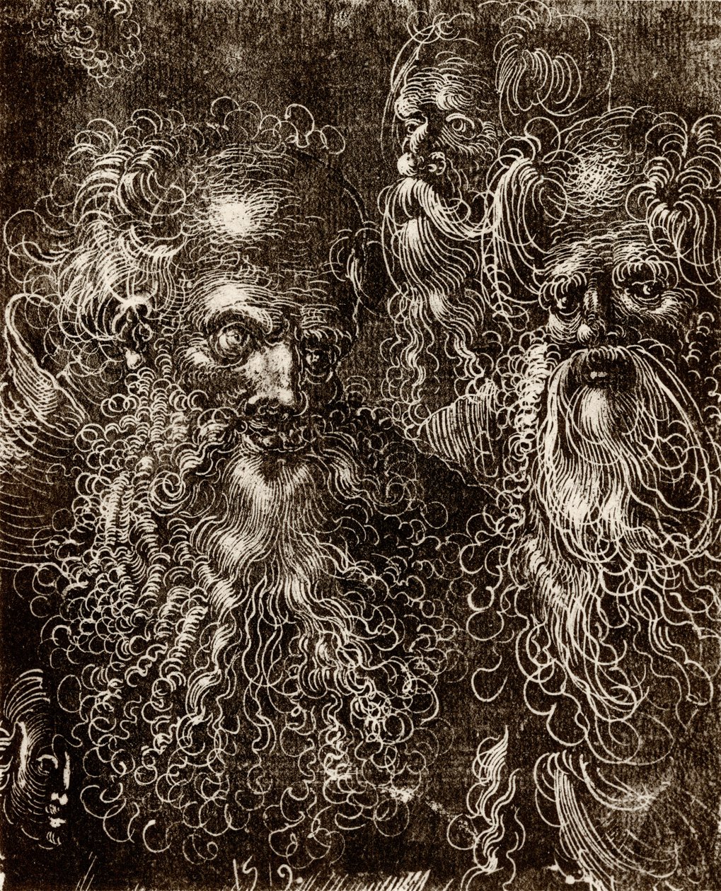 Verschillende hoofdstudies door Lucas (school of) Cranach