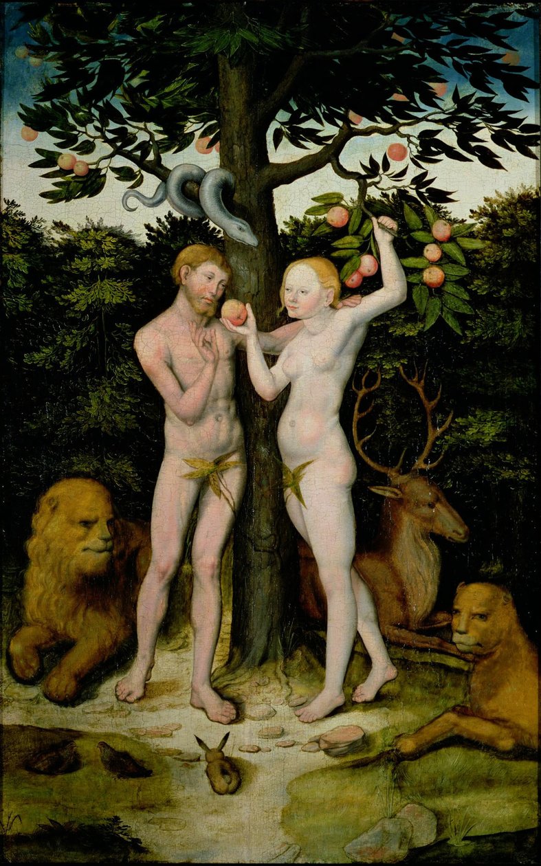 Adam en Eva door Lucas Cranach the Elder