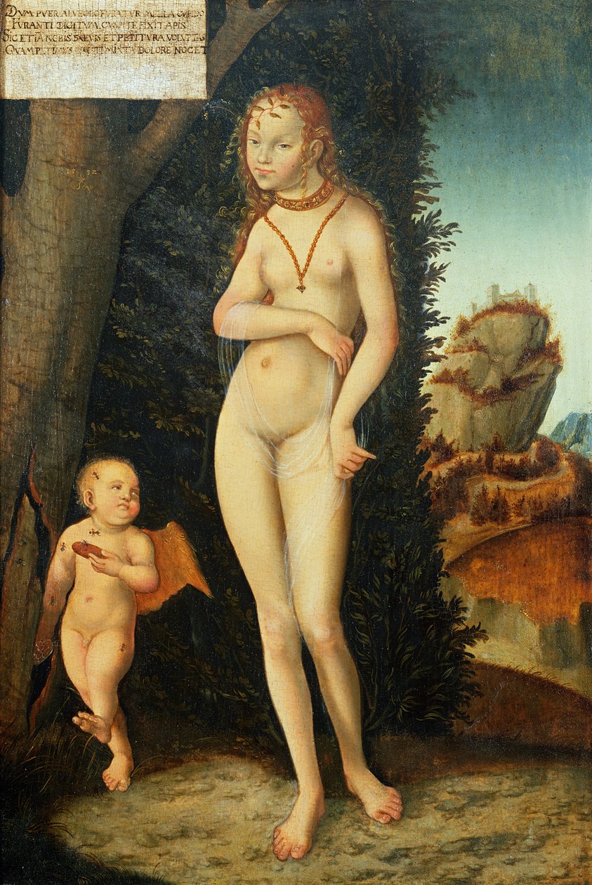 Onbekend Beeld door Lucas Cranach