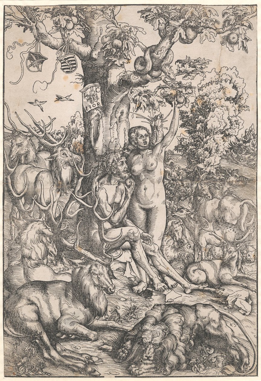 De val van de mens door Lucas Cranach d.Æ.