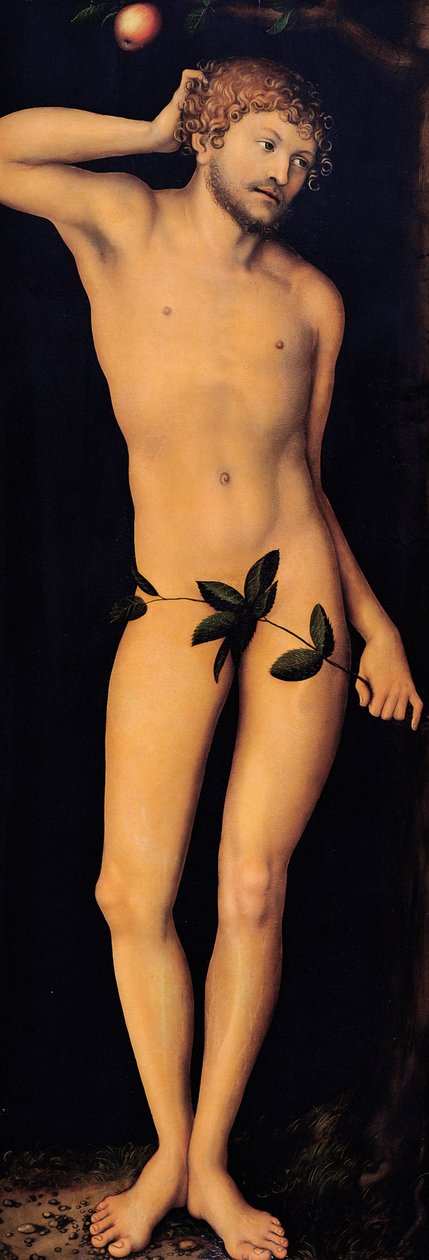 Adam, 1528 door Lucas Cranach the Elder