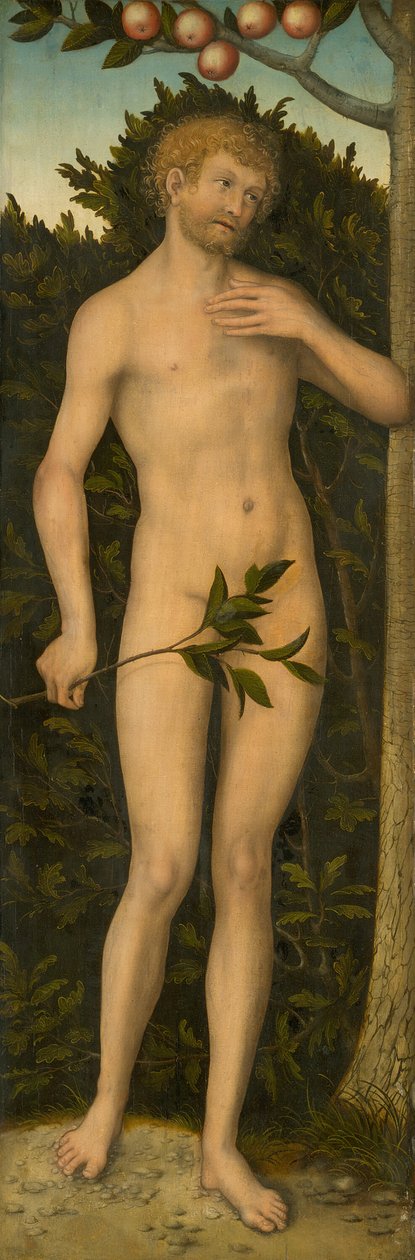 Adam, 153337 door Lucas Cranach the Elder