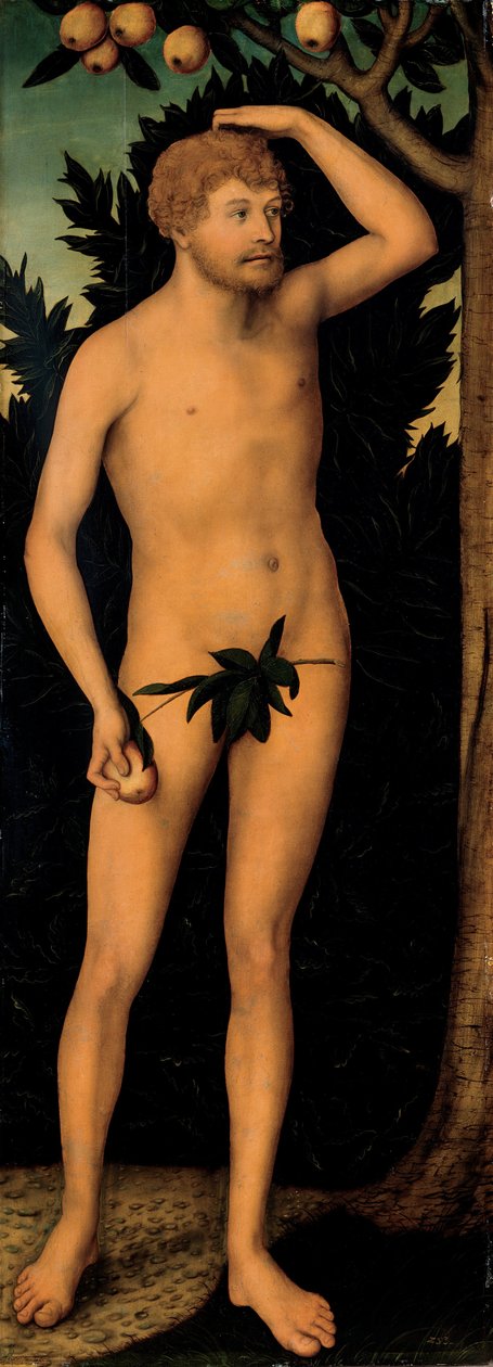 Adam door Lucas Cranach the Elder