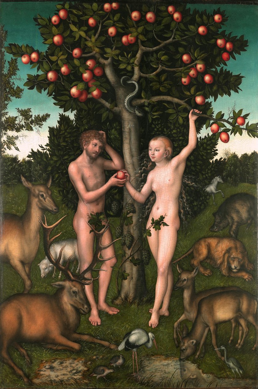 Adam en Eva door Lucas Cranach the Elder