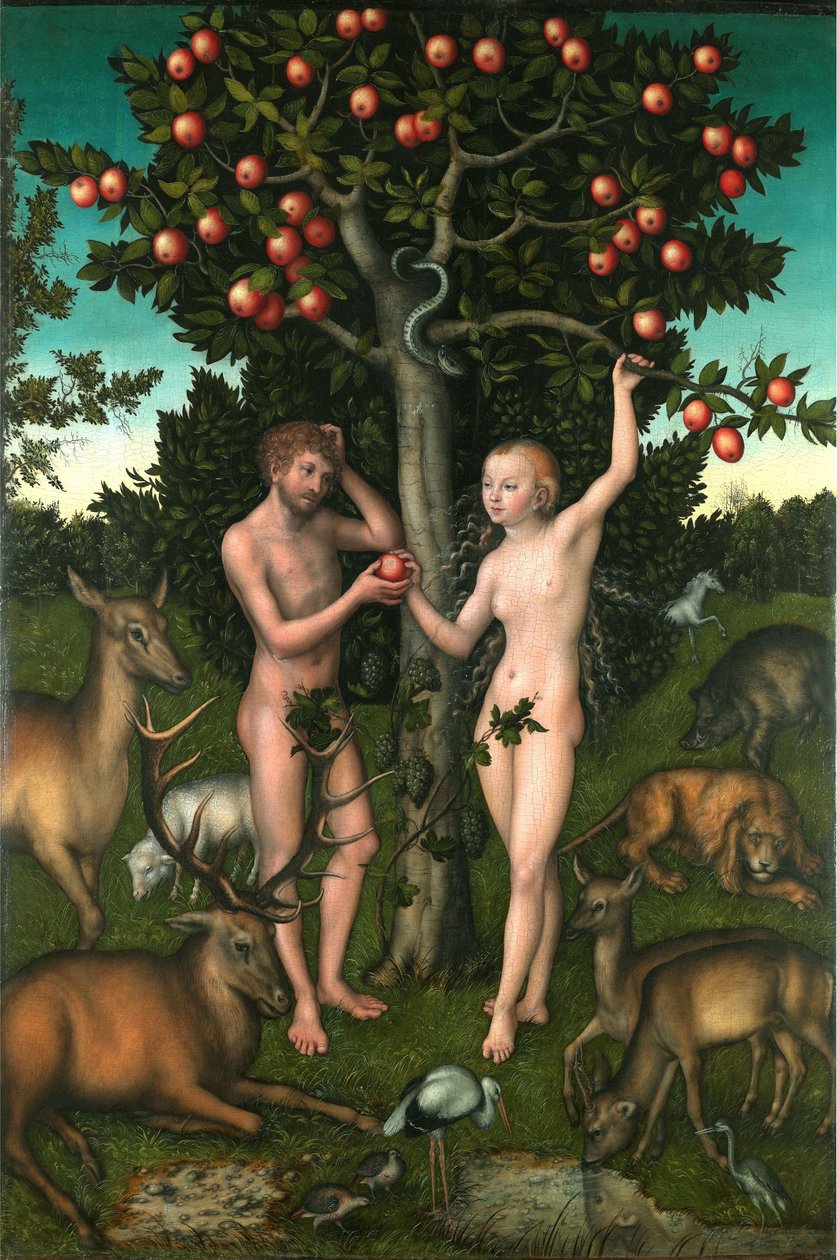 Adam en Eva door Lucas Cranach the Elder