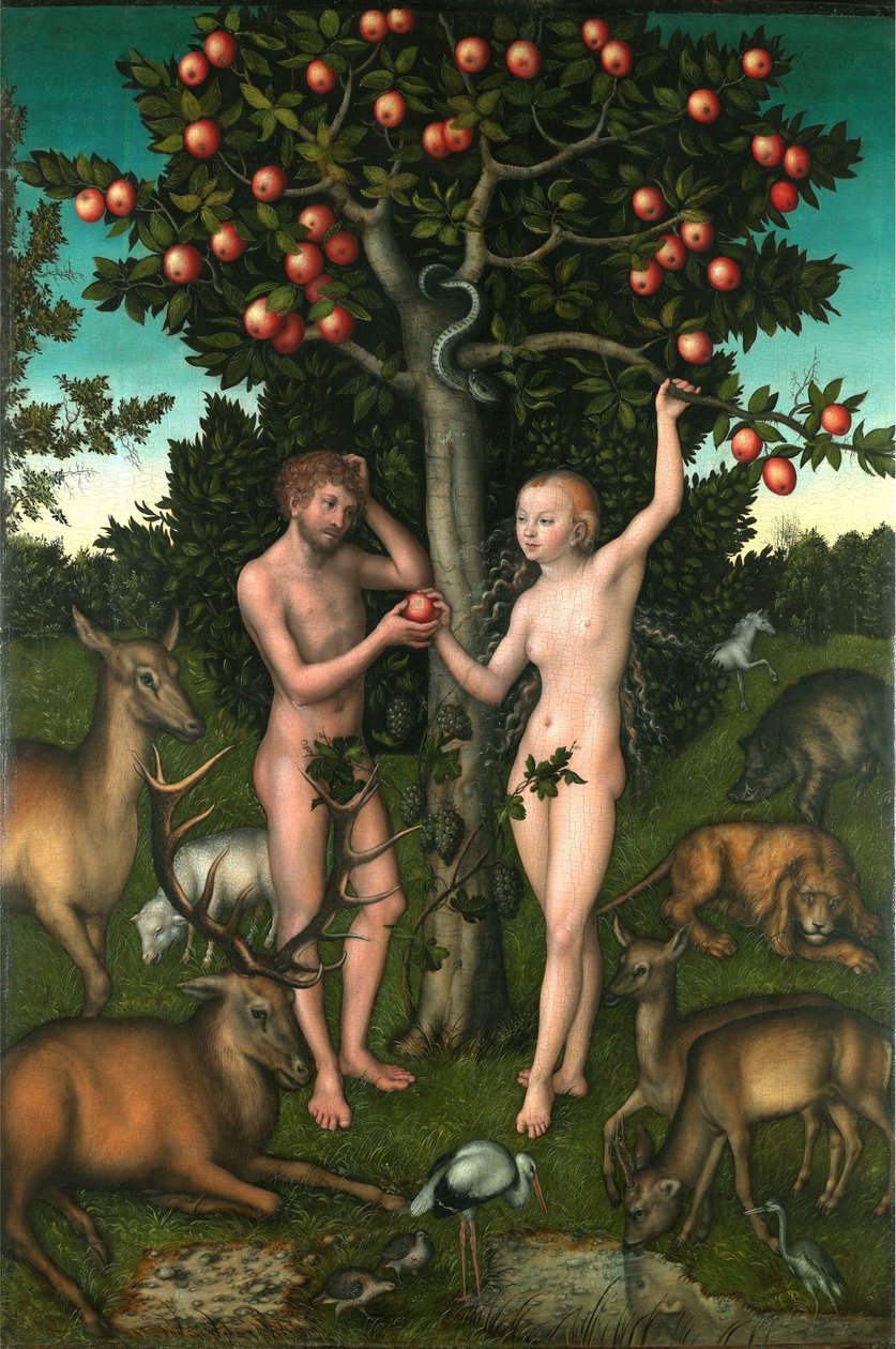 Adam en Eva door Lucas Cranach the Elder