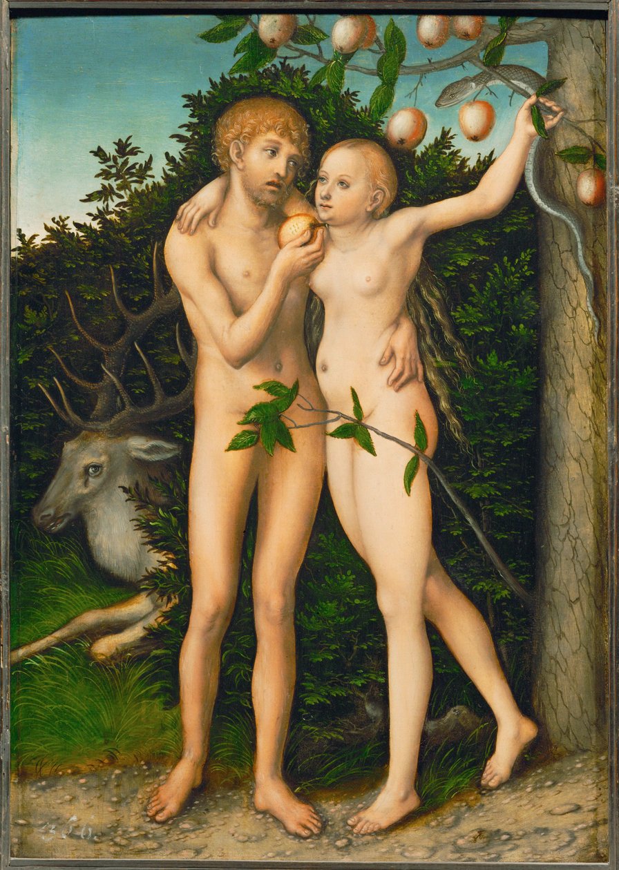 De val ... door Lucas the Elder Cranach