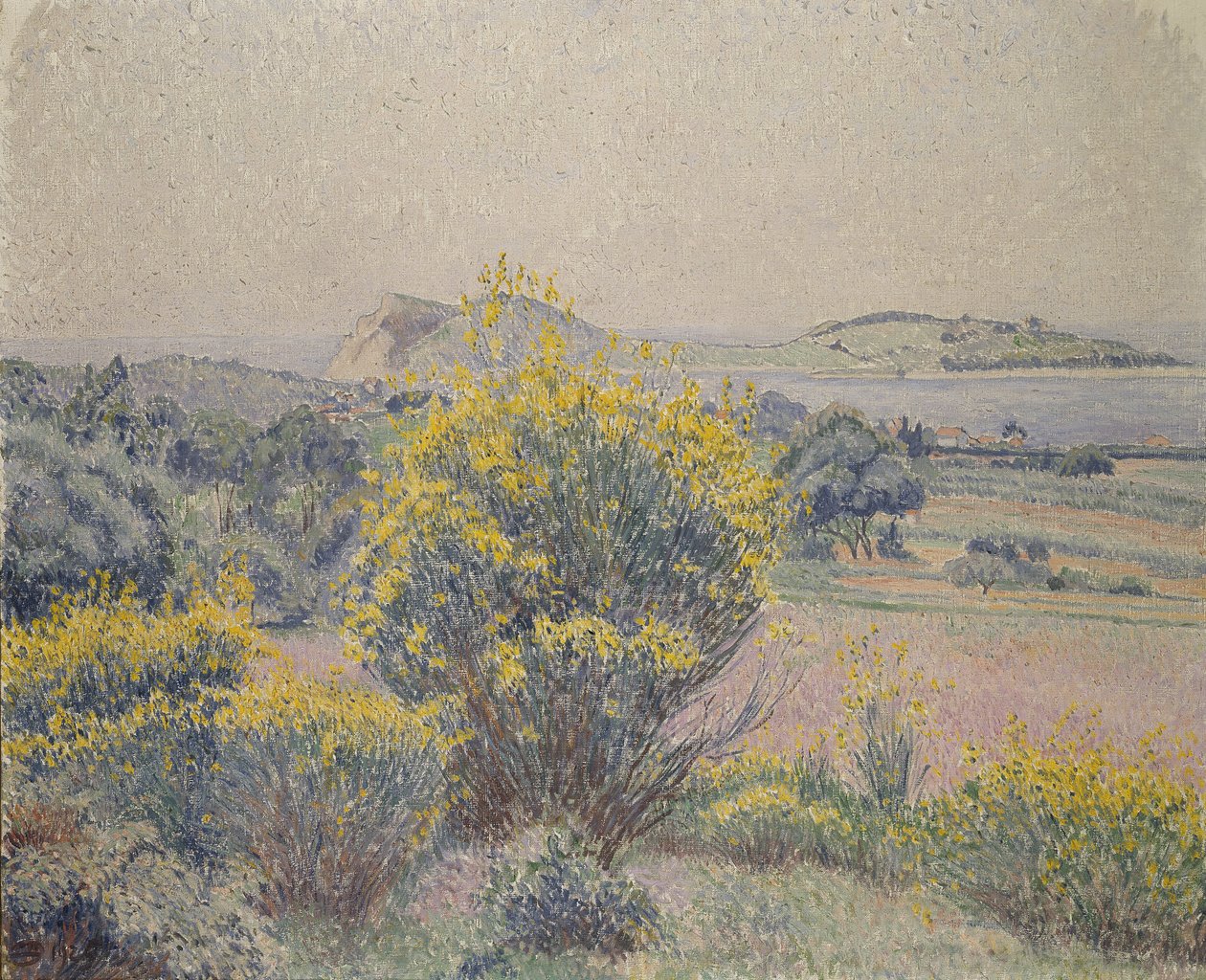Broom, Le Brusq, 1925 door Lucien Pissarro
