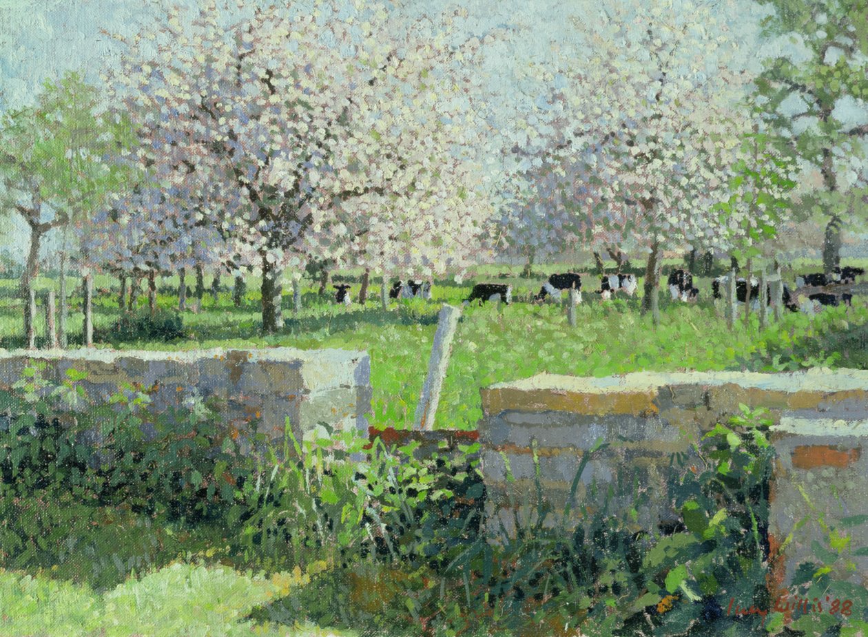 Koeien in de Boomgaard, 1988 door Lucy Willis