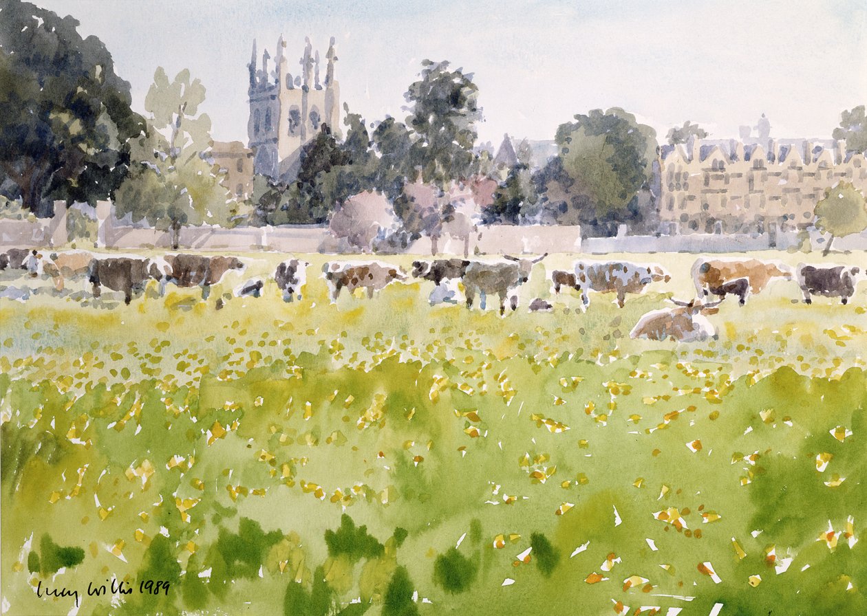 Uitzicht over Christ Church Meadows, 1989 door Lucy Willis