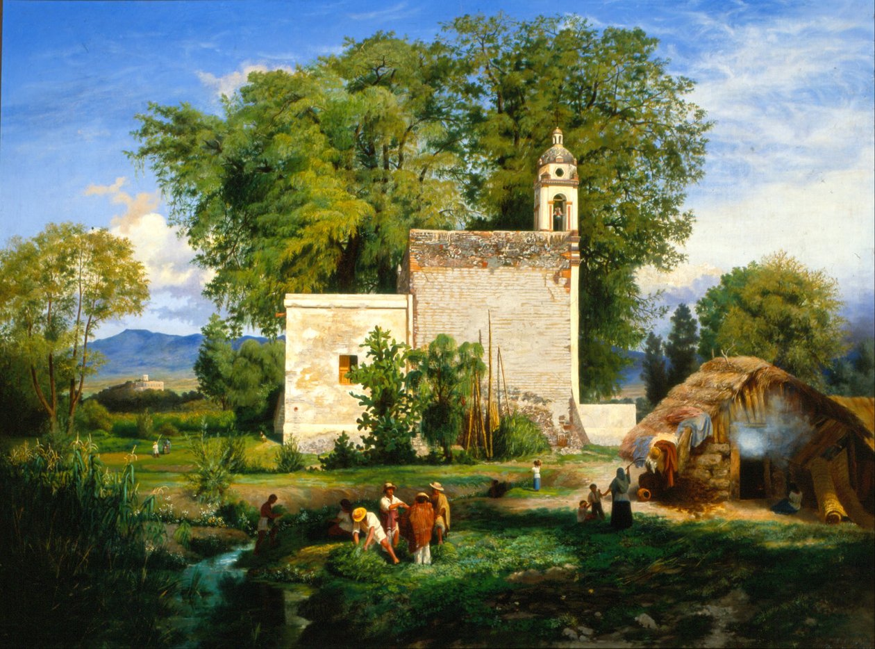 Landschap van San Cristóbal Romita door Luis Coto