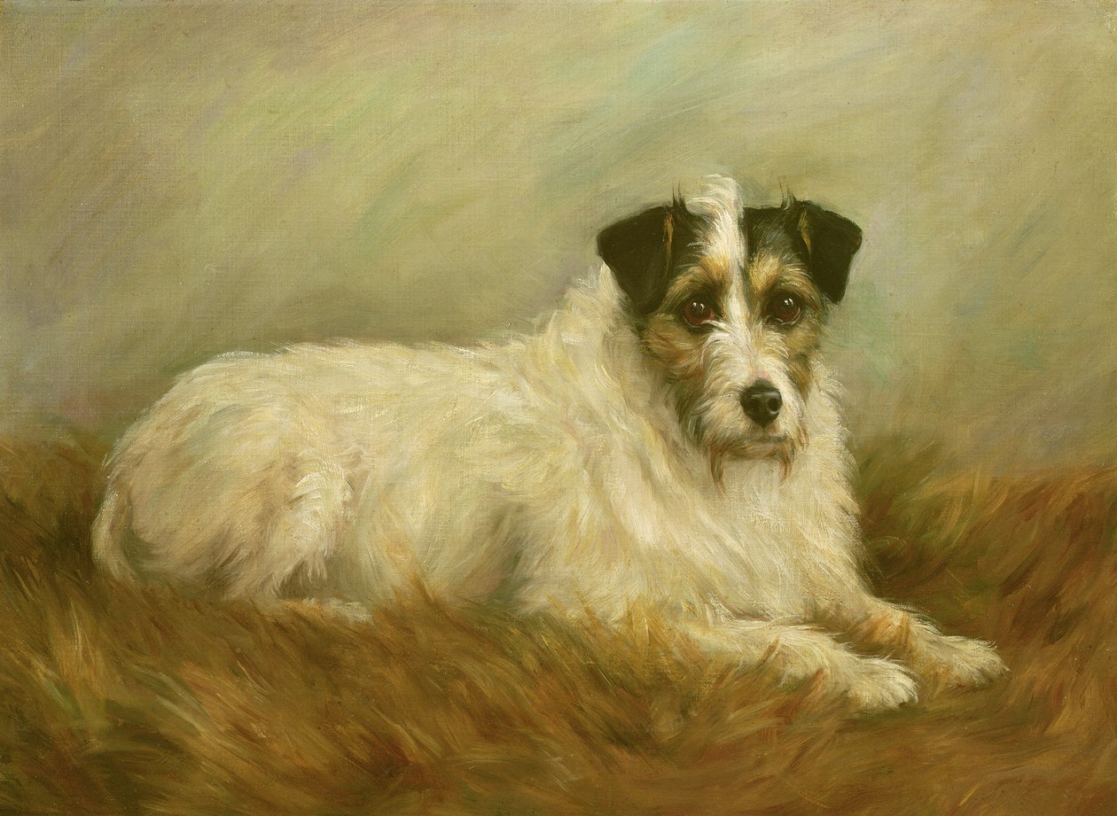 Terriër door Mabel Hastings