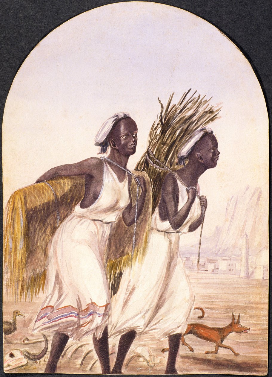 Somalische vrouwen in Aden, 1858 door Maitland Warren Bouverie Pasley