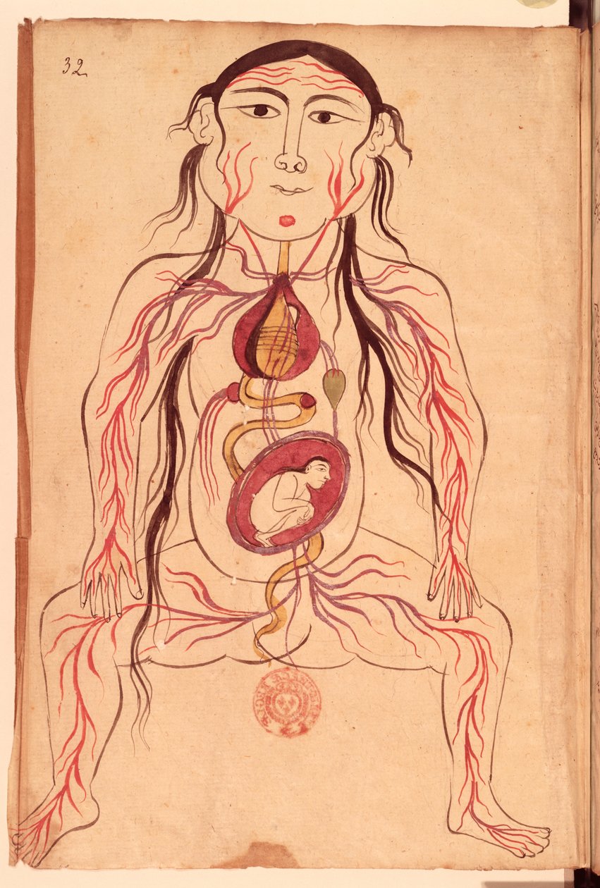 Ms Persan 151 Fol.32 Anatomisch diagram van een vrouw en haar foetus door Mansour b. Eliyas Chirazi