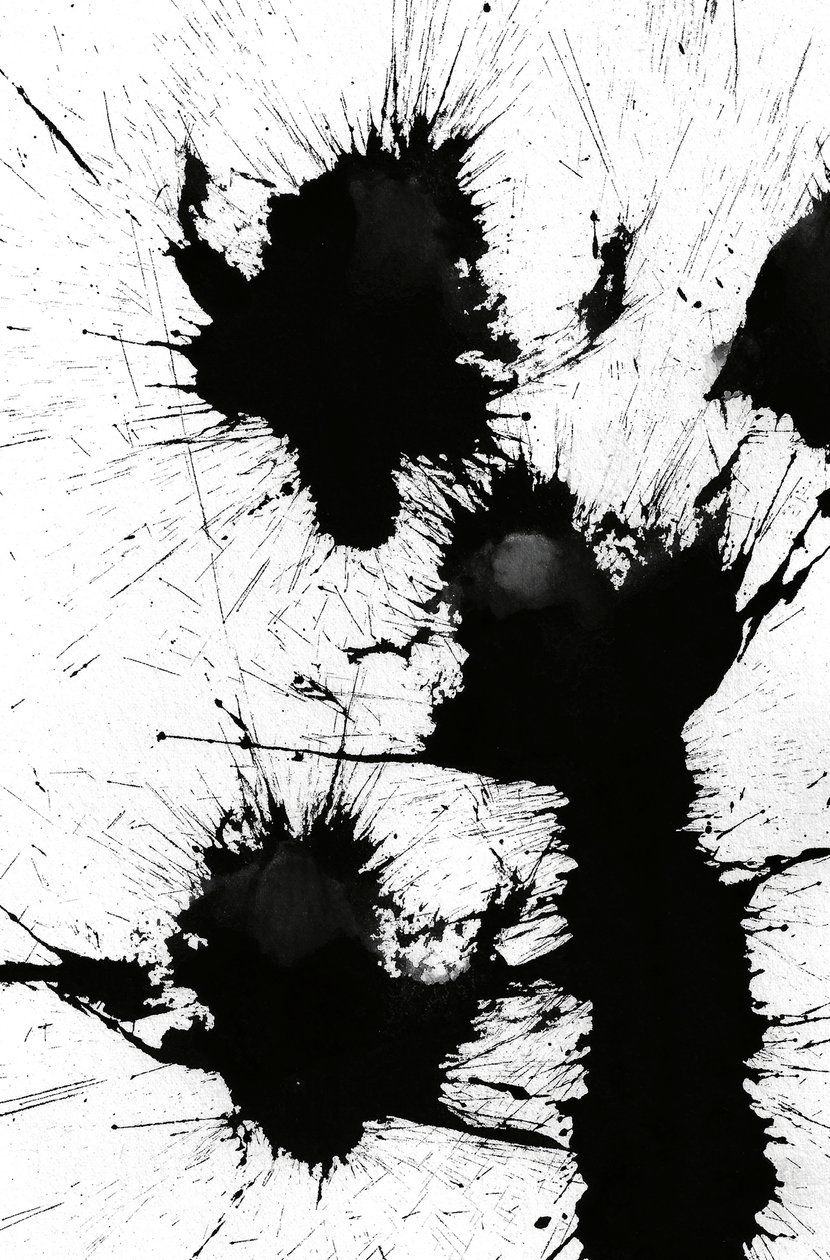 Blot, 2014 (inkt op papier) door Marco Campedelli