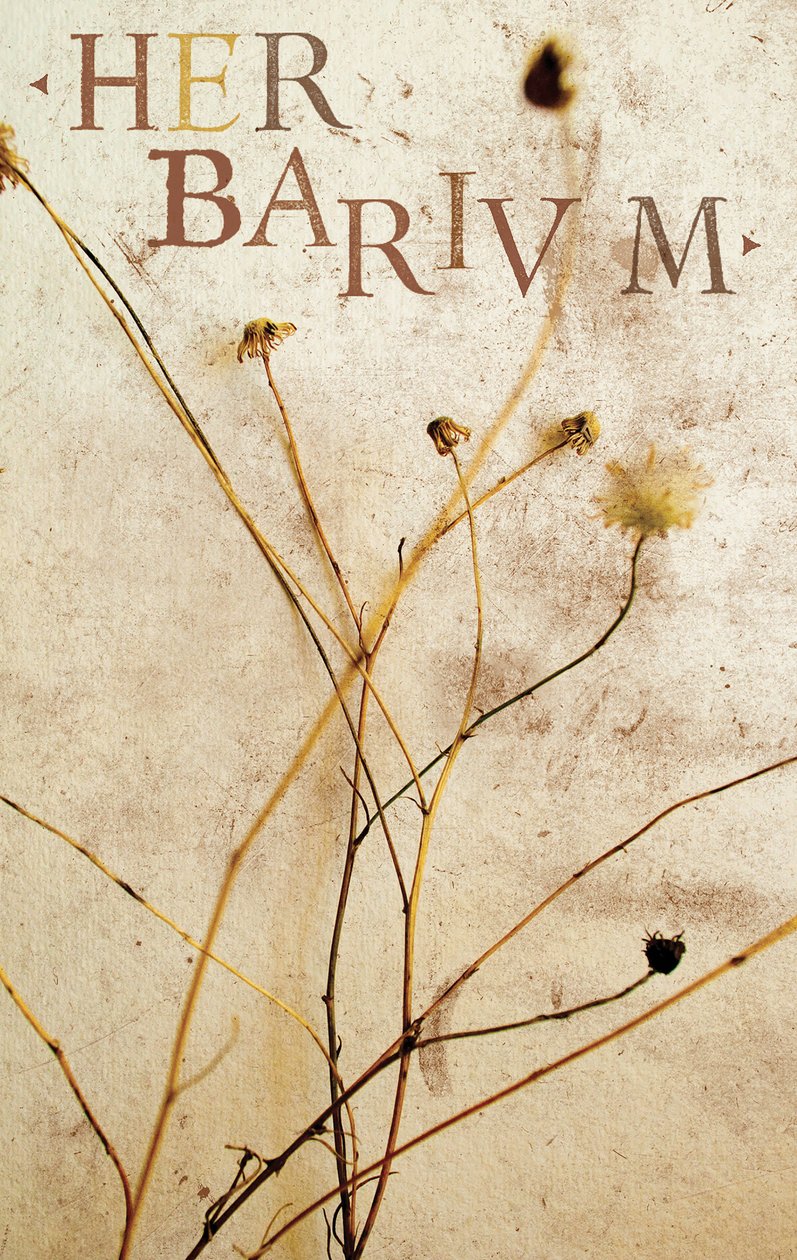 Herbarium, 2014 (gemengde techniek) door Marco Campedelli