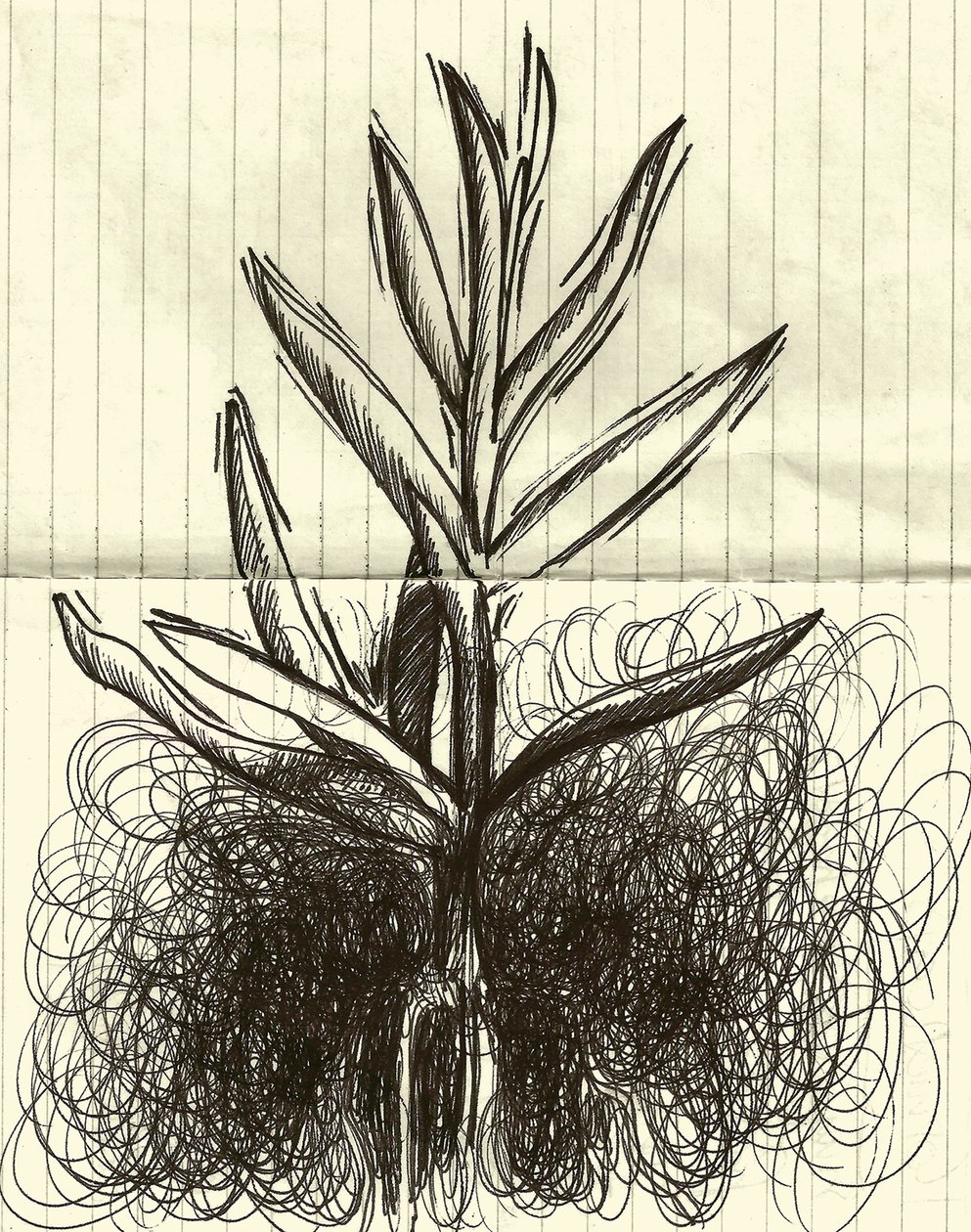 Plant, 2014 (inkt op papier) door Marco Campedelli