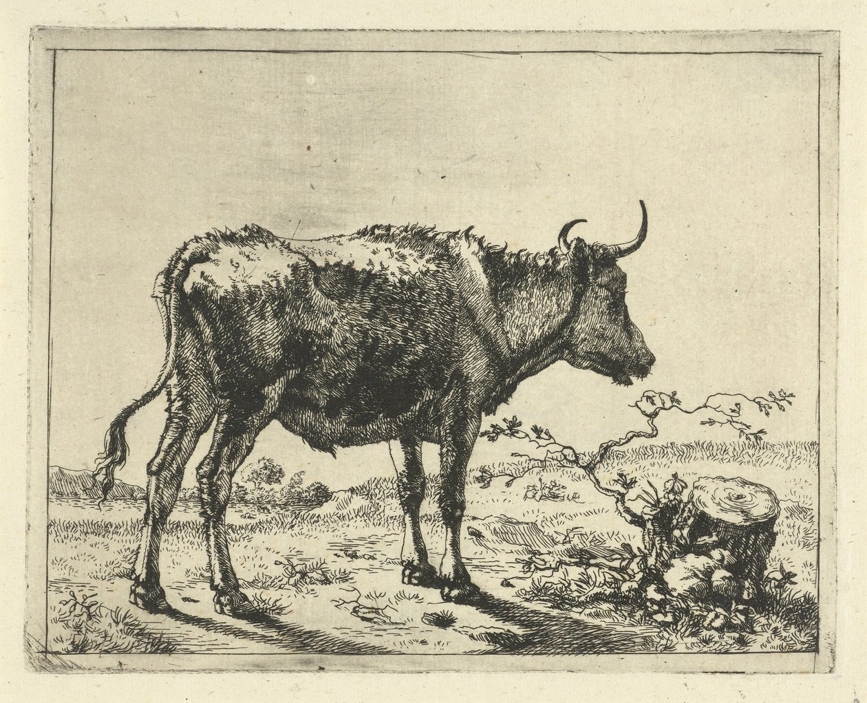 Stier staand bij boomstronk door Marcus de Bye