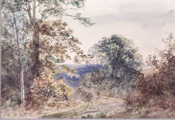 Landschapsstudie uit de natuur door Margaret Sarah Carpenter