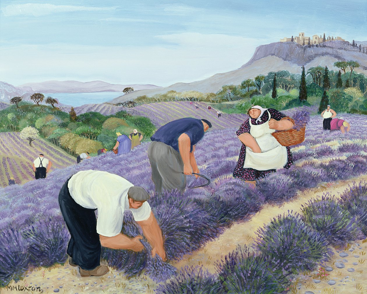 Lavendel door Margaret Loxton