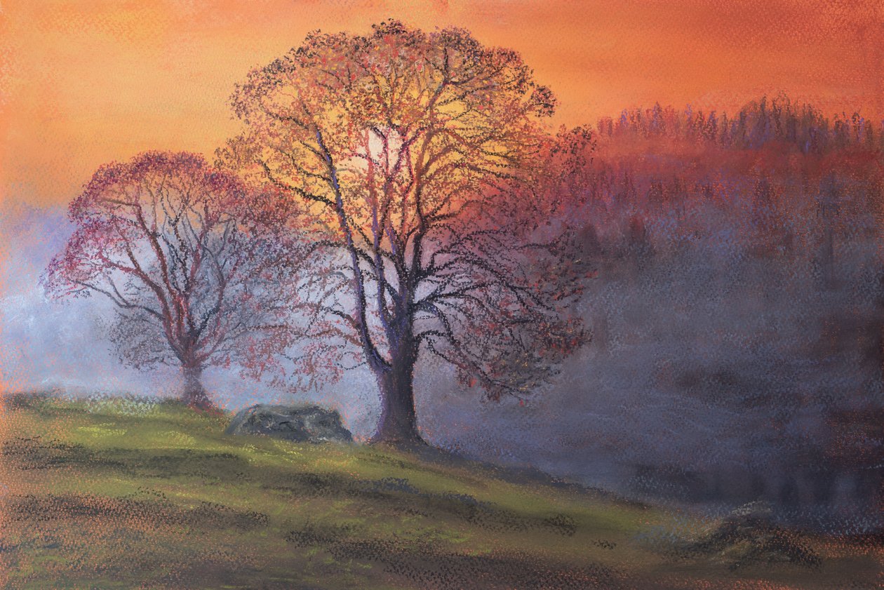 Zon door vroege mist door Margo Starkey