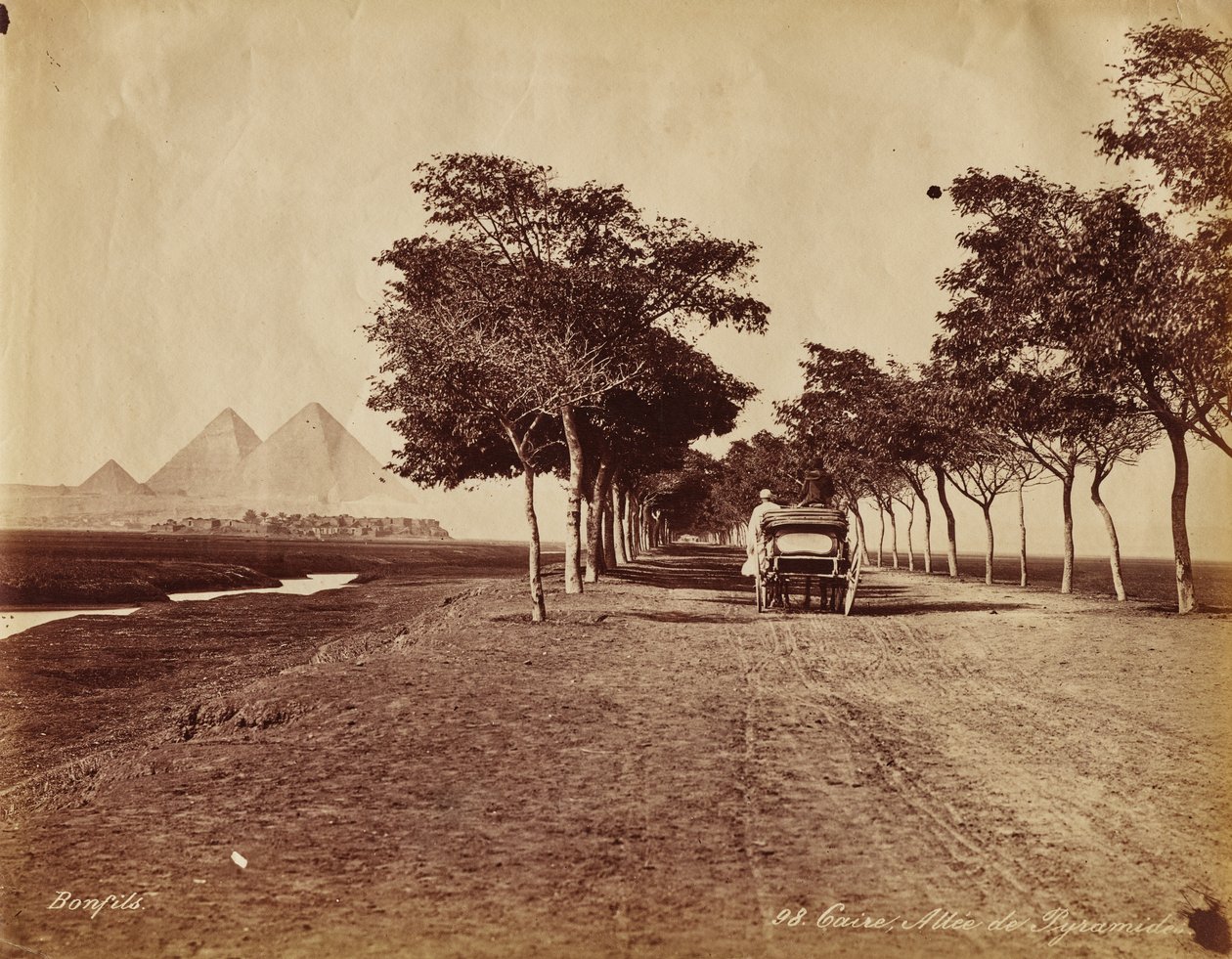 Caire. Allée de Pyramides door Maria Sibylla Merian