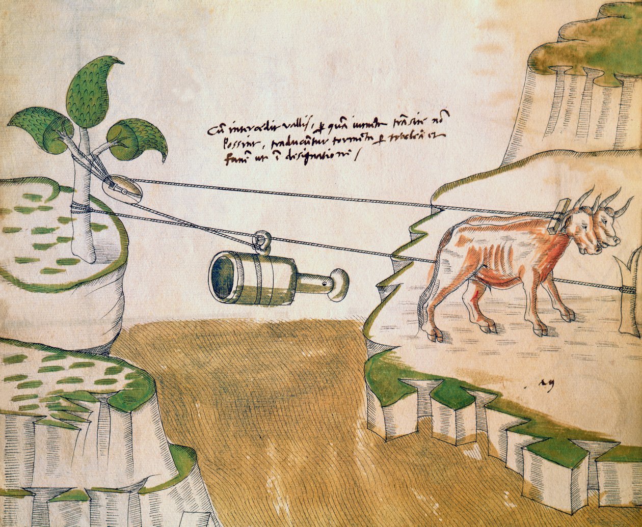 Ossen die een katrol trekken, illustratie uit De Machinis door Mariano di Jacopo 1382 c.1453 after Mariano di Jacopo 1382 c.1453 after