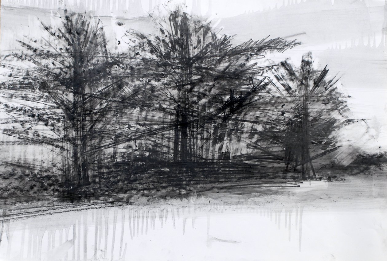 Bomen door Marina Falco