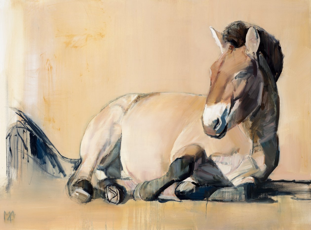 Plateau Zon (Przewalski), 2014 door Mark Adlington