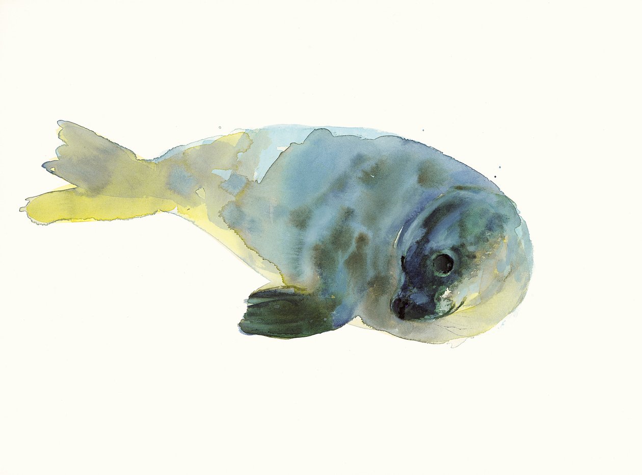 Aqua Groen door Mark Adlington