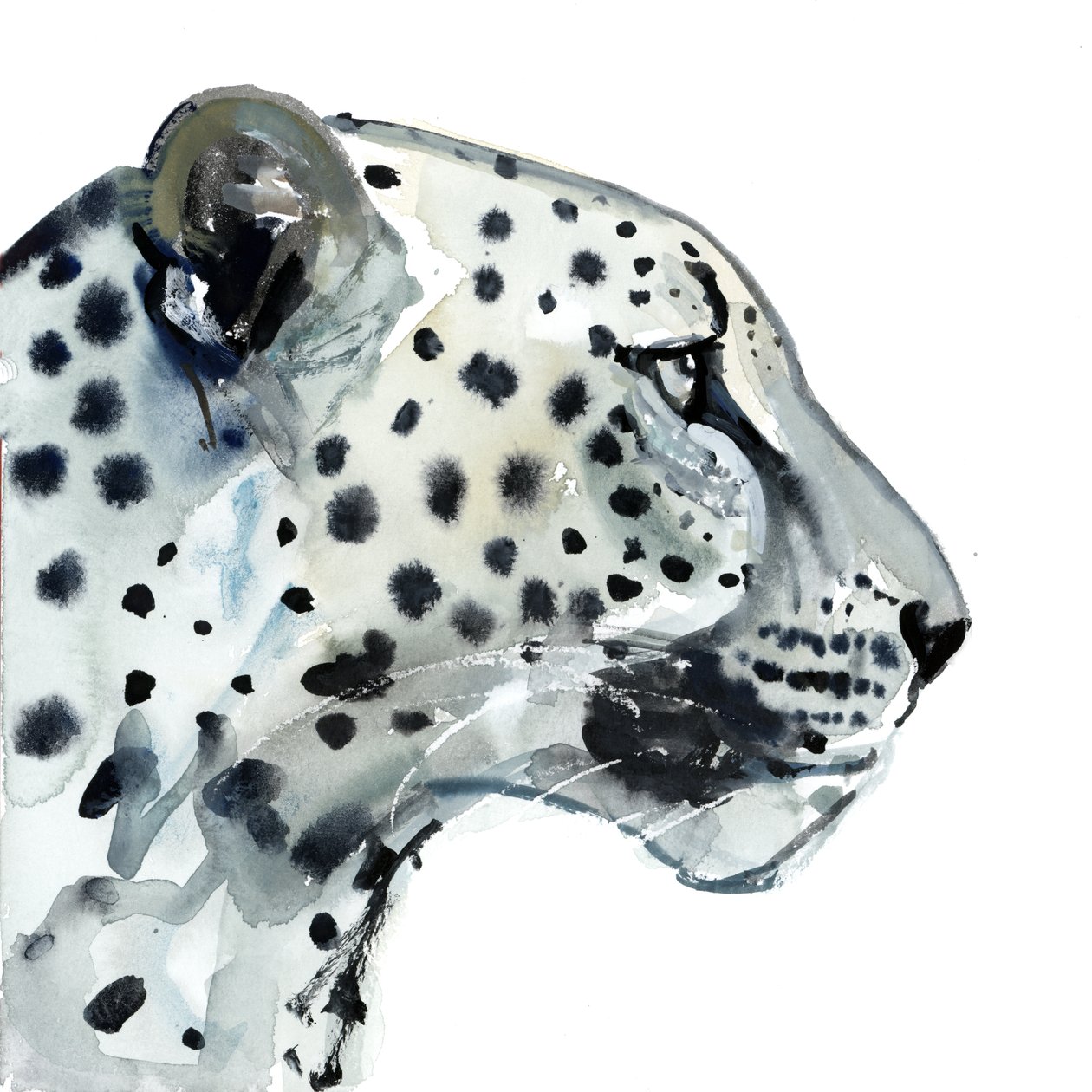 Focus, 2015 door Mark Adlington