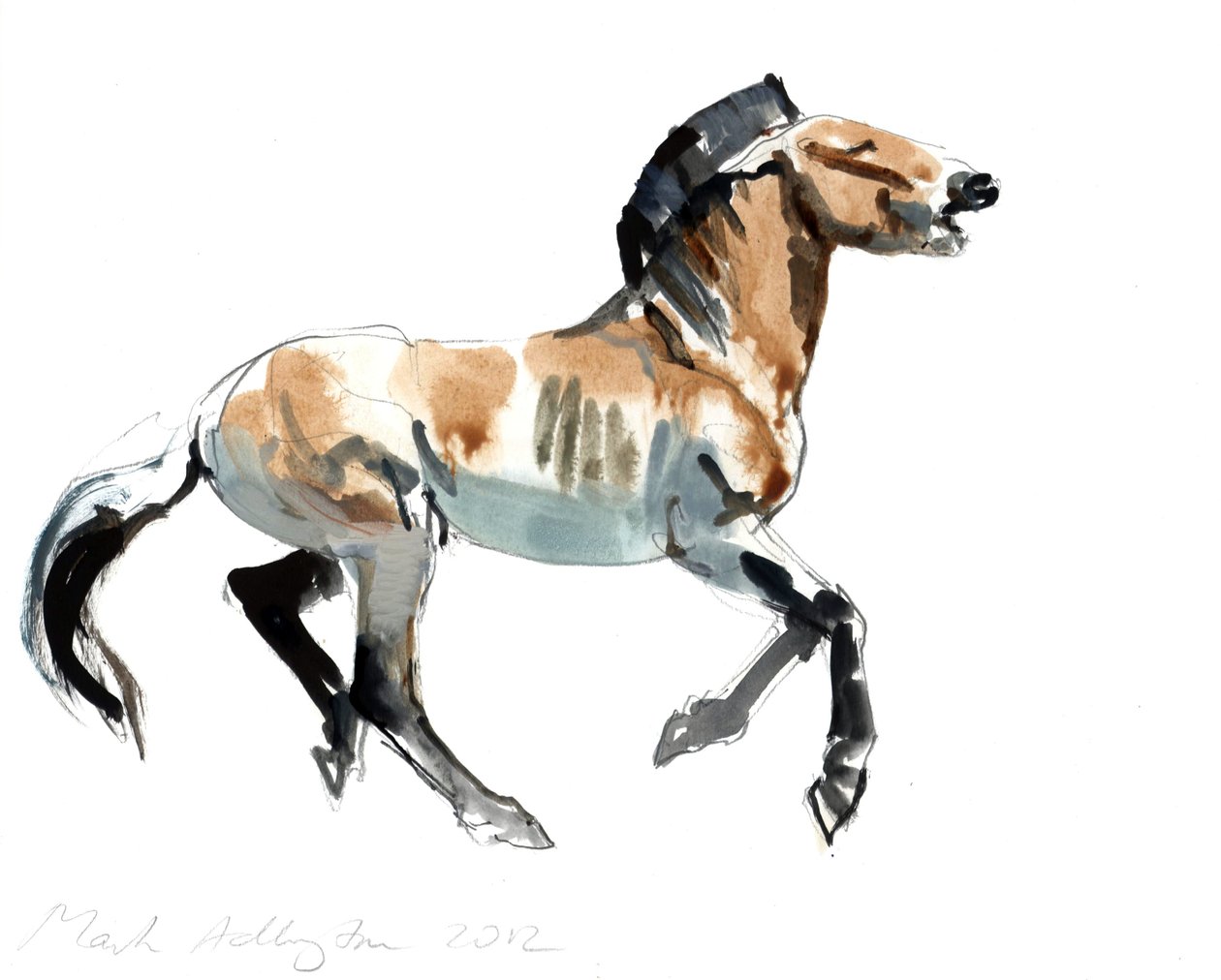 Grieks (Przewalski) door Mark Adlington