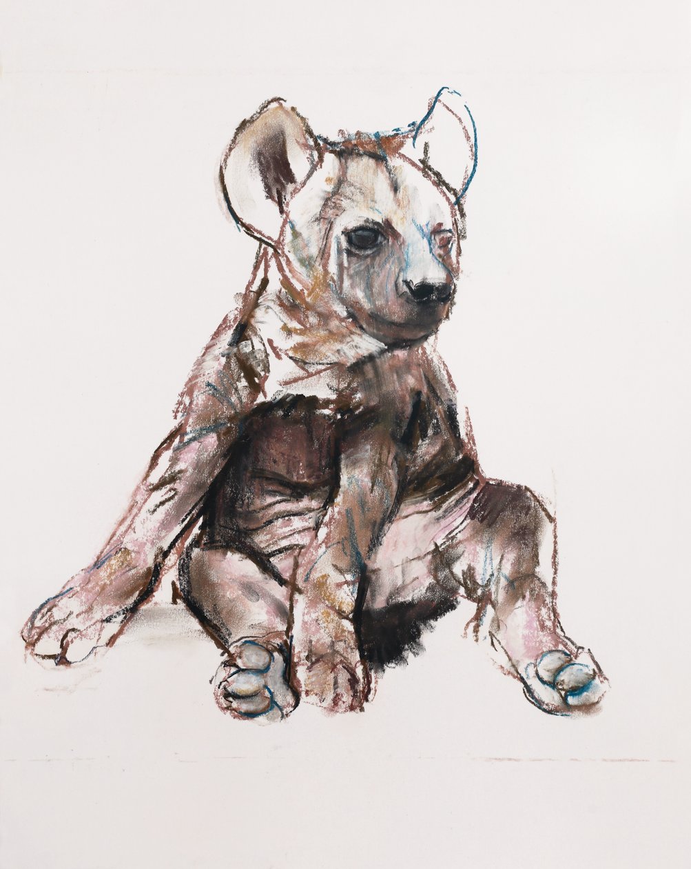 Hyena Pup (zittend) door Mark Adlington