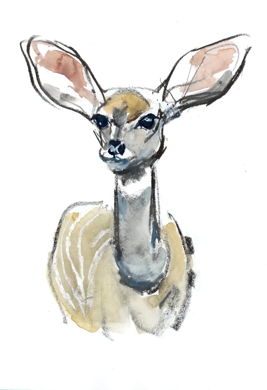 Kudu kalf, Sarara door Mark Adlington