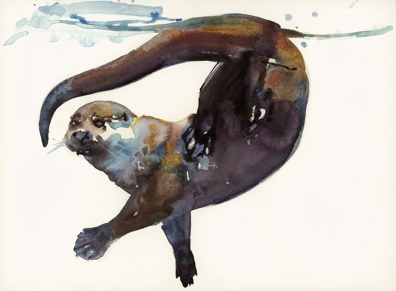 Otterstudie II - 