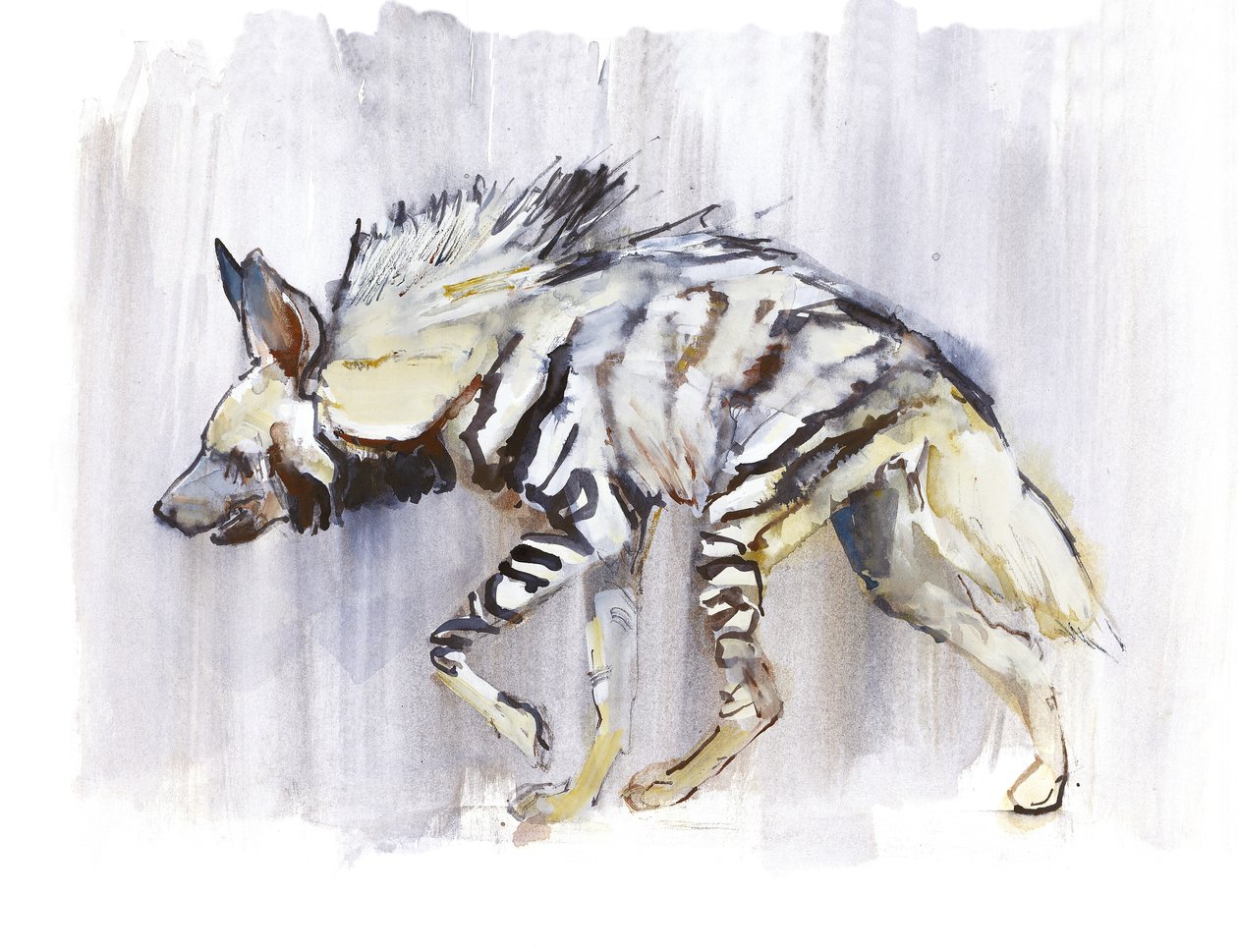 Gestreepte hyena, 2010 door Mark Adlington