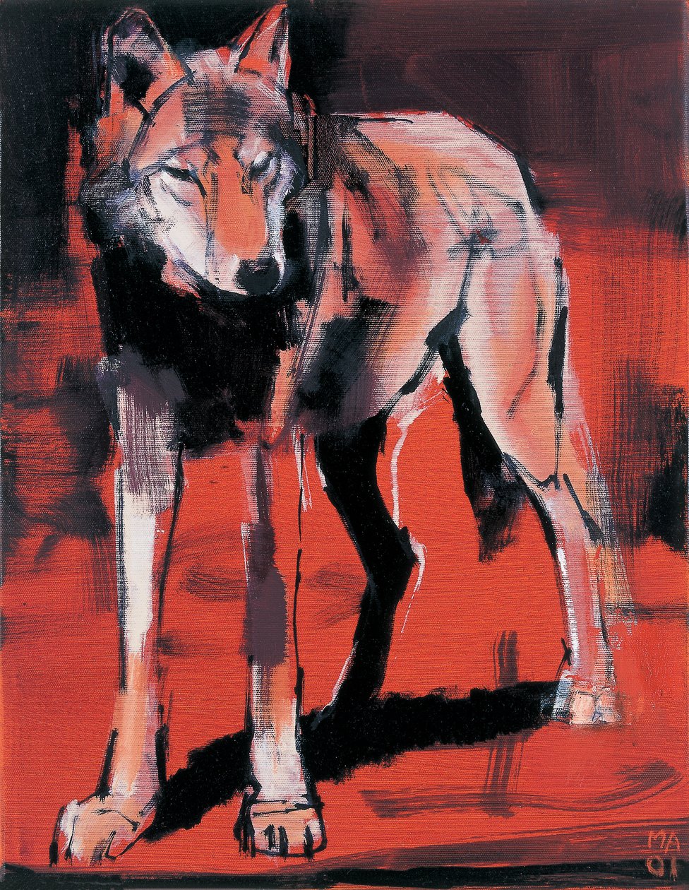 Zomerwolf, 2001 door Mark Adlington
