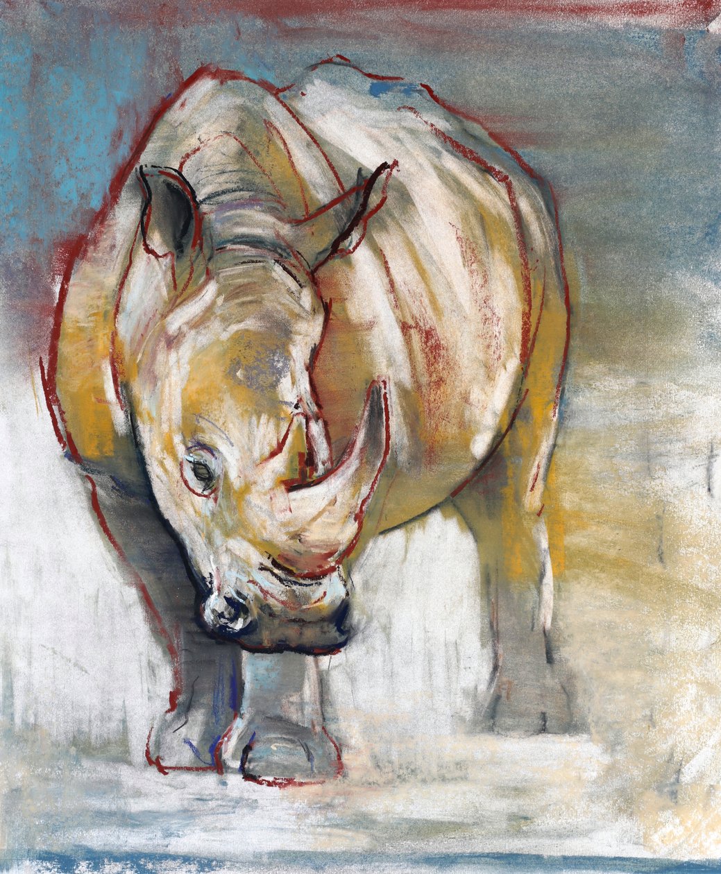 Witte neushoorn, Ol Pejeta, 2018 door Mark Adlington