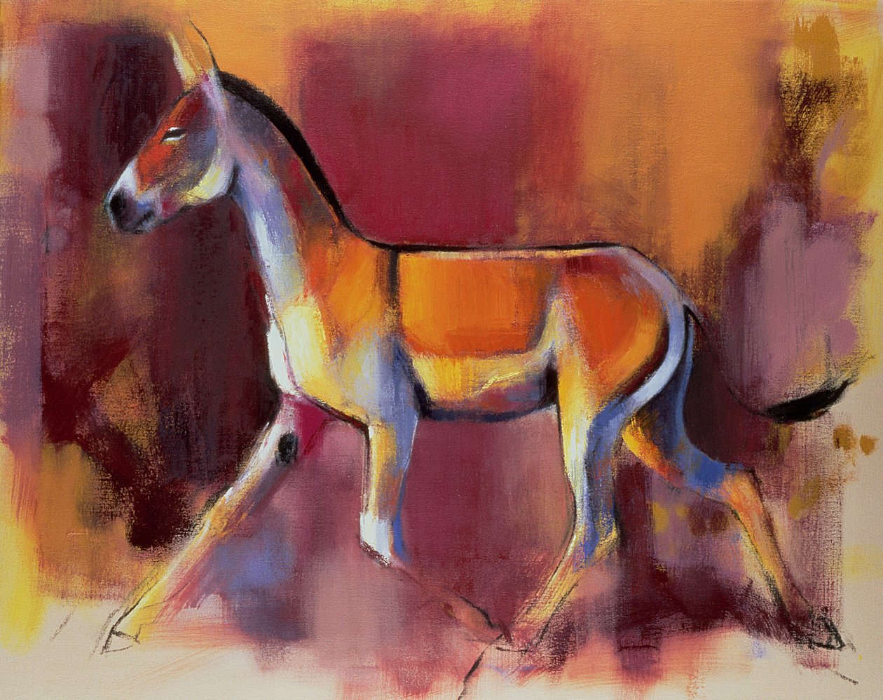 Wilde ezel, Rann van Kutch, 1996 door Mark Adlington