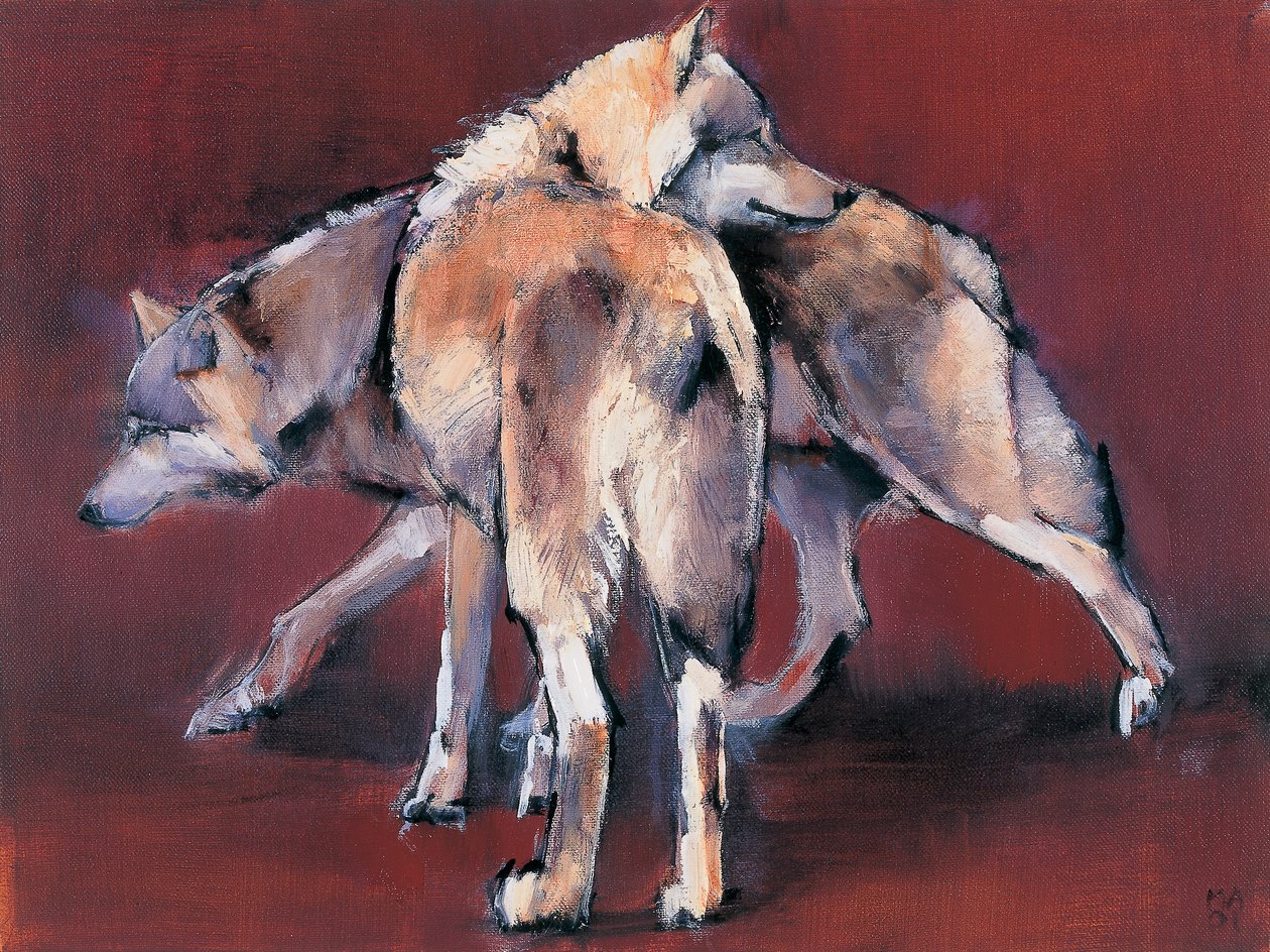 Wolfcompositie, 2001 door Mark Adlington