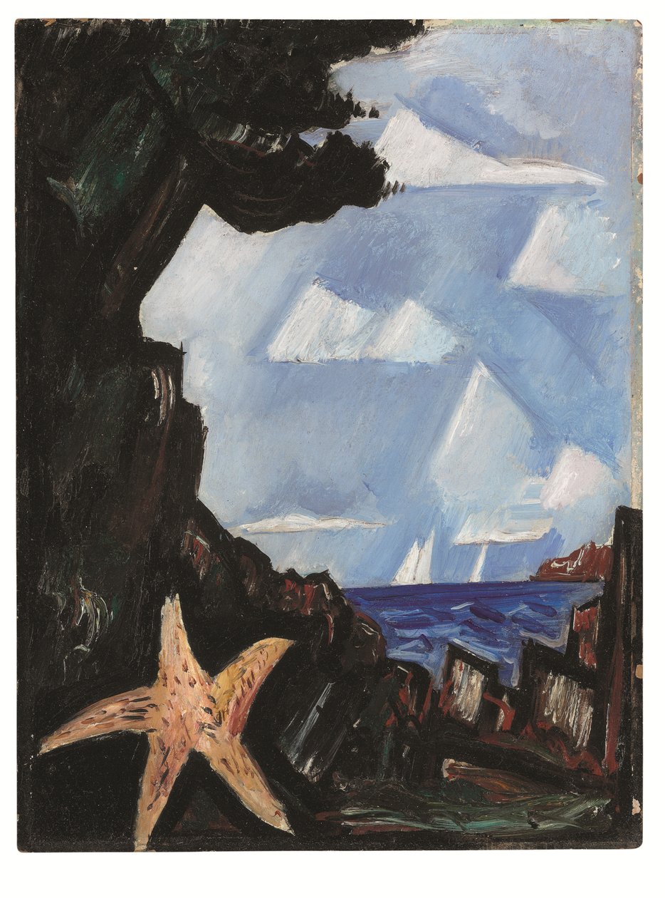 Zeezicht--Zeester, New England door Marsden Hartley