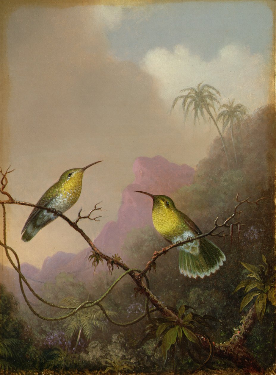 Twee kolibries, ca. 1865-75 door Martin Johnson Heade