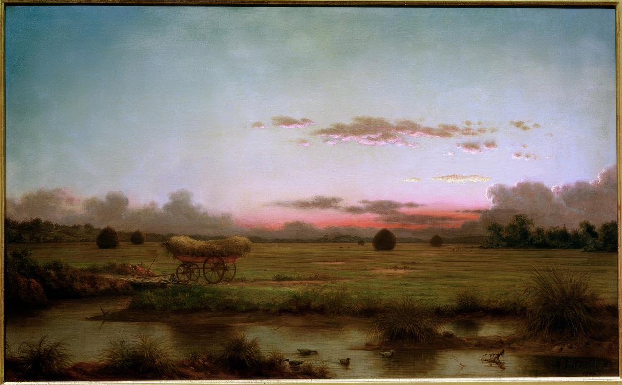 De moerassen bij Rhode Island door Martin Johnson Heade