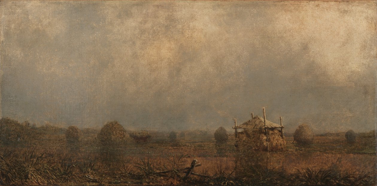 Vloed op de Moerassen, 1872 door Martin Johnson Heade